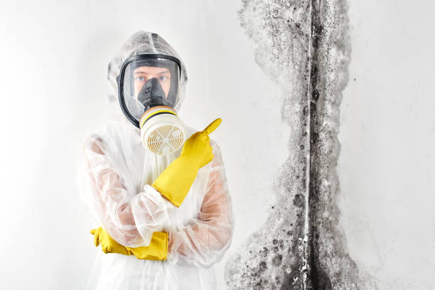 Best Biohazard Mold Removal  in Yankton, SD